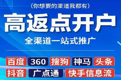 百度竞价代运营成功案例解析