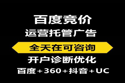 SEM运营推广策略：成功案例解析